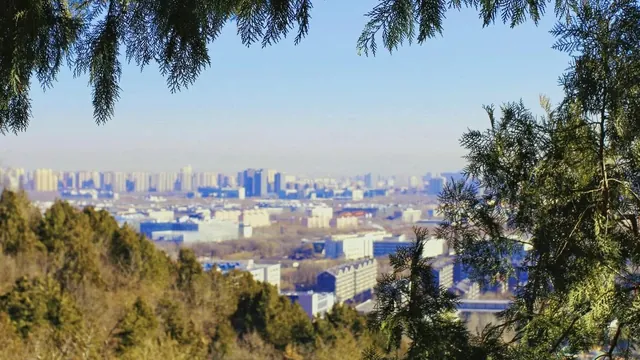 “望山野 集好物”为主题的红叶季市集活动海报