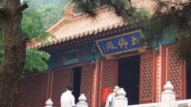 第十三届西山八大处文化周暨第三十九届北京八大处重阳游山会活动海报