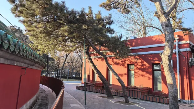 “金菊庆华诞 古树耀京华”金秋游园会活动海报
