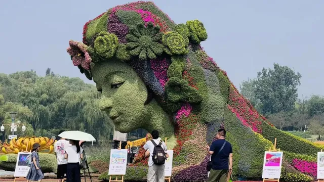 2026北京市菊花文化活动暨北京国际鲜花港菊花文化节活动海报