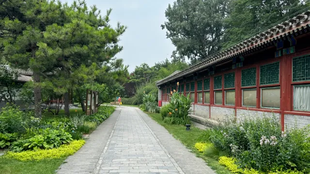颐和园秋季精品盆景展活动海报