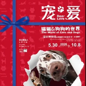 宠爱——猫猫&狗狗的世界活动海报